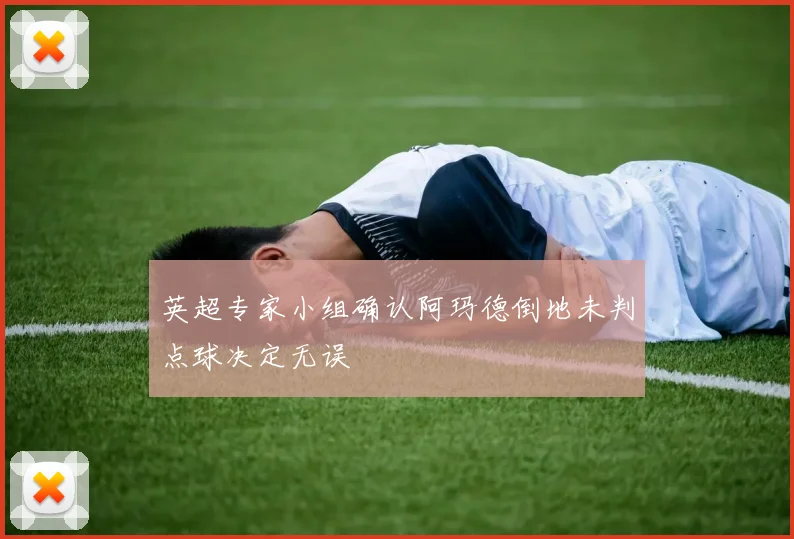 英超专家小组确认阿玛德倒地未判点球决定无误